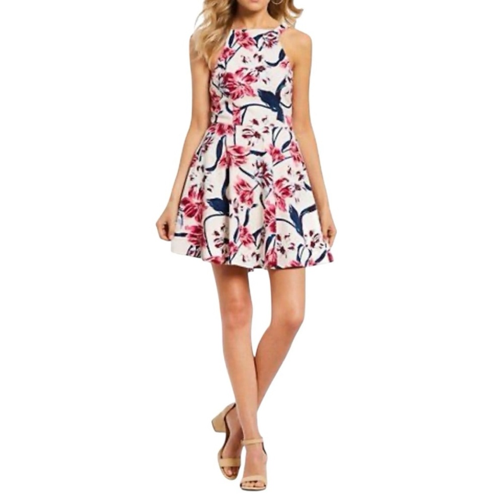 Floral Fit-and-Flare Sleeveless Dress in White and Pink